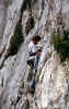 R017.JPG (96219 byte)
