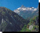 Il Mont Avic (mt.3006),
visto dal fondo valle
(7646 bytes)